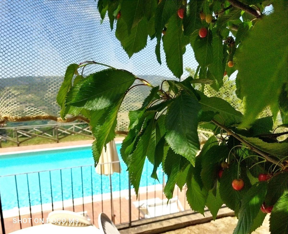 Poggio Al Vento ξενώνας Castiglione dʼOrcia Εξωτερικό φωτογραφία