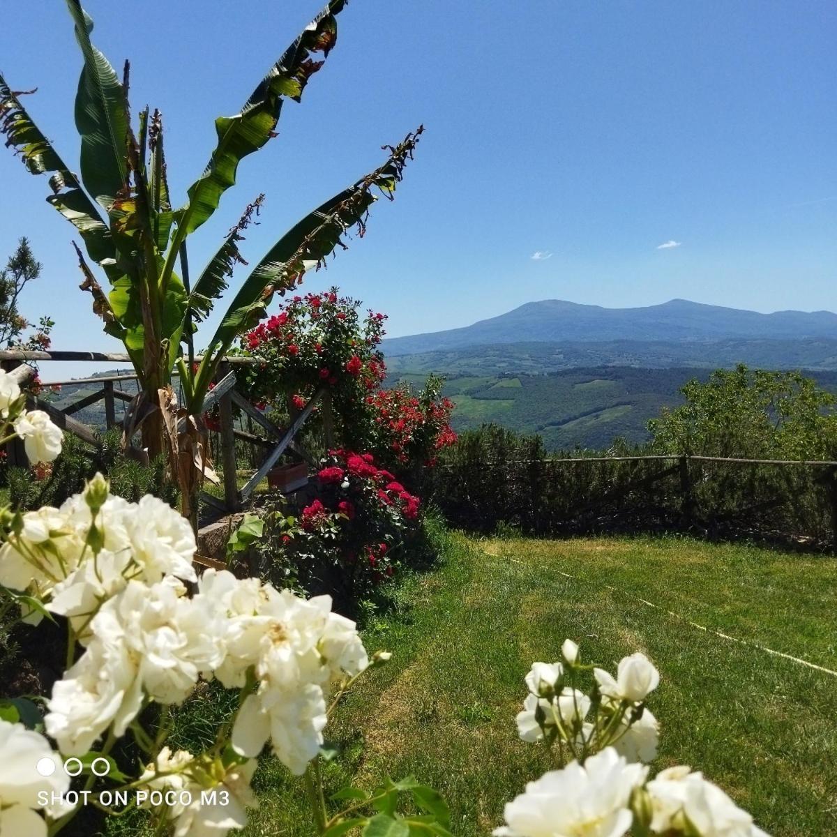 Poggio Al Vento ξενώνας Castiglione dʼOrcia Εξωτερικό φωτογραφία