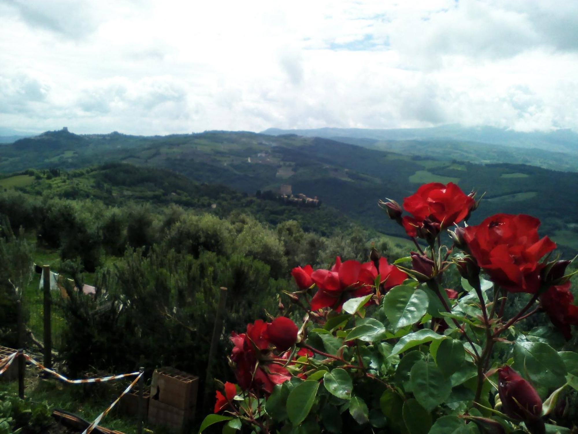 Poggio Al Vento ξενώνας Castiglione dʼOrcia Εξωτερικό φωτογραφία